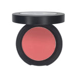 Silky Pan Blush image 1