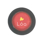 Silky Pan Blush image 2